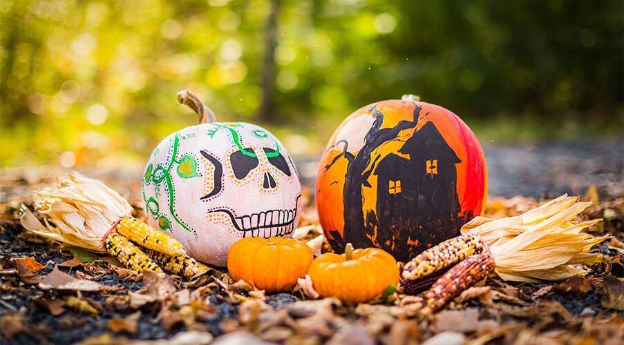 Halloween Gift Ideas for Children - Tiny Tycoon